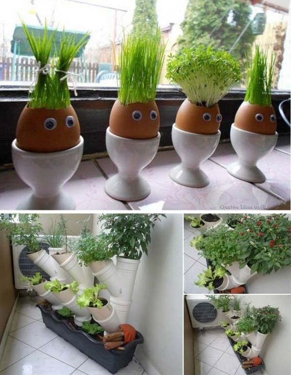 10-Smart-Miniaturized-Indoor-Garden