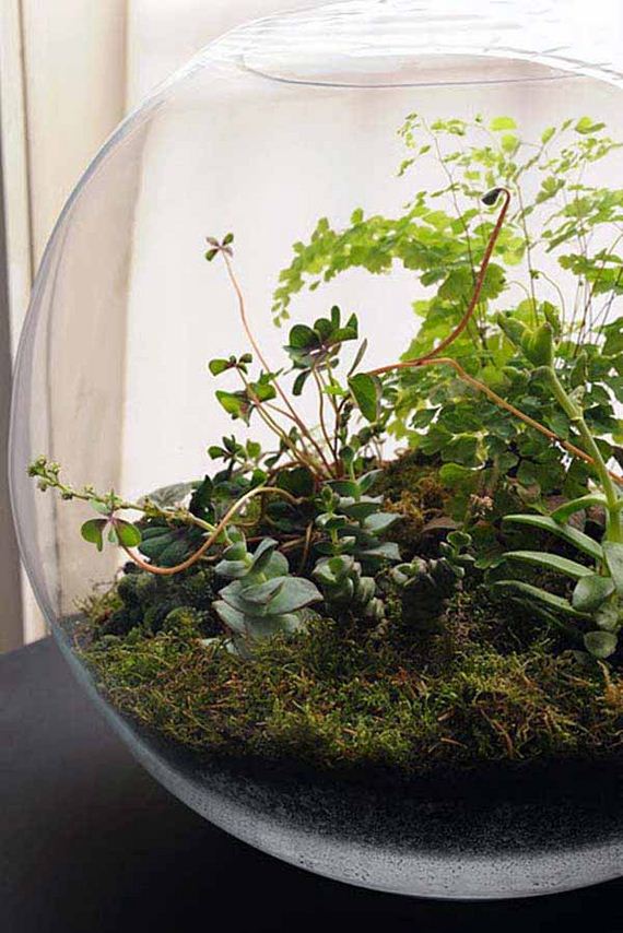 13-Smart-Miniaturized-Indoor-Garden