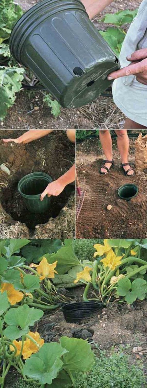 14-Gardening-Tricks