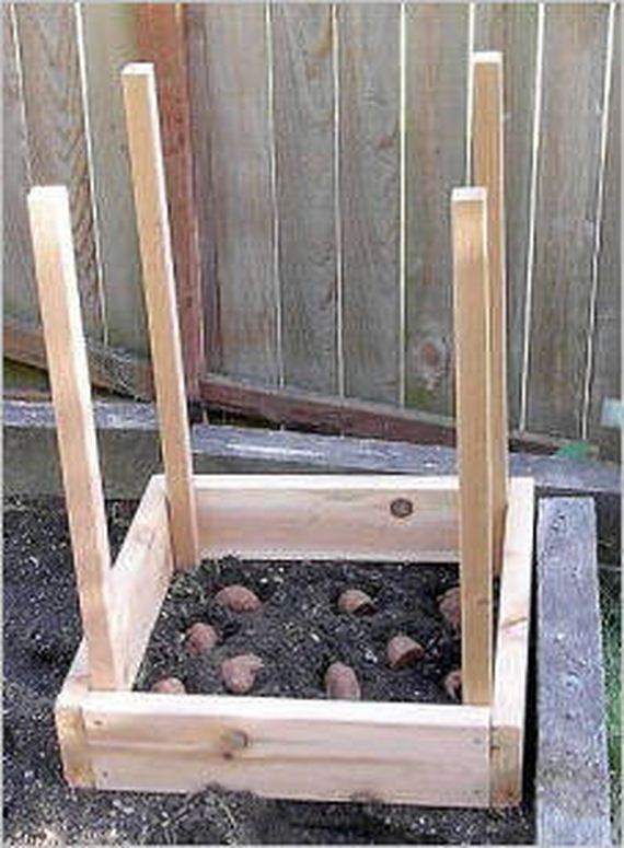 18-Clever-Gardening-Tips-And-Ideas