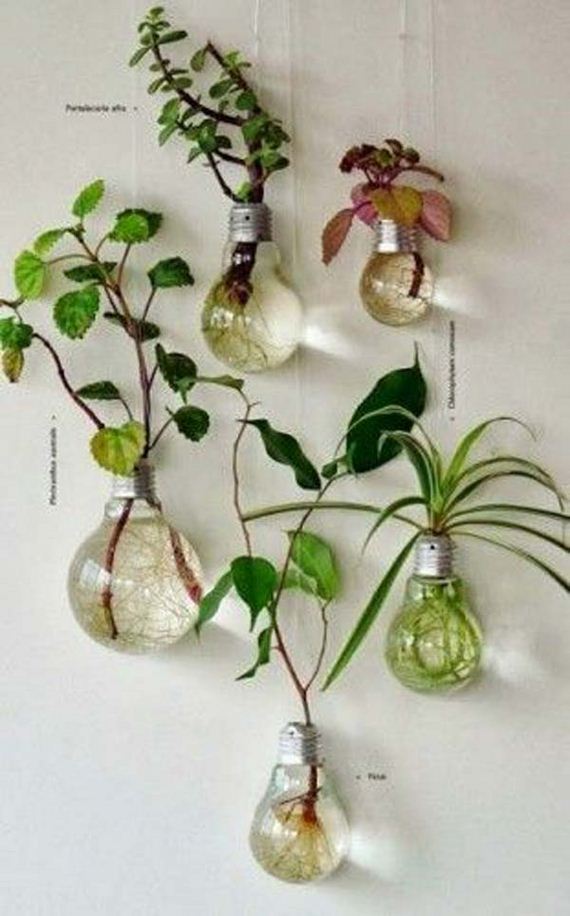 18-Smart-Miniaturized-Indoor-Garden