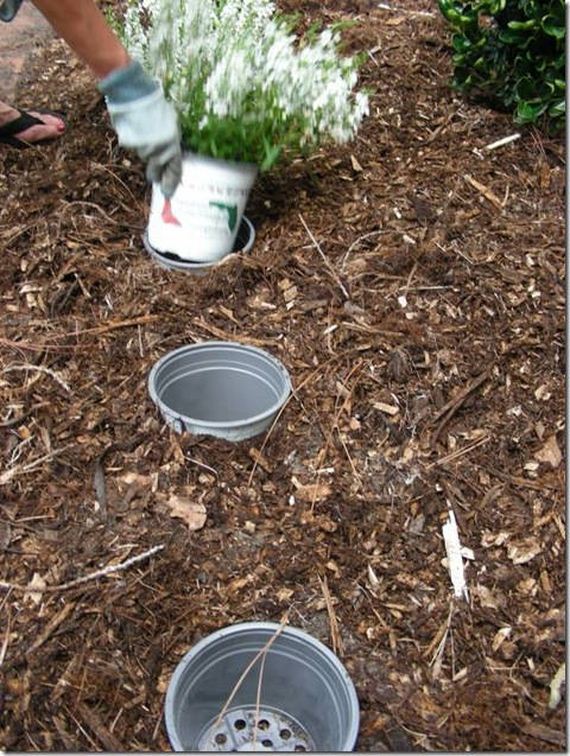 19-Clever-Gardening-Tips-And-Ideas