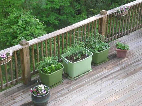 22-Clever-Gardening-Tips-And-Ideas