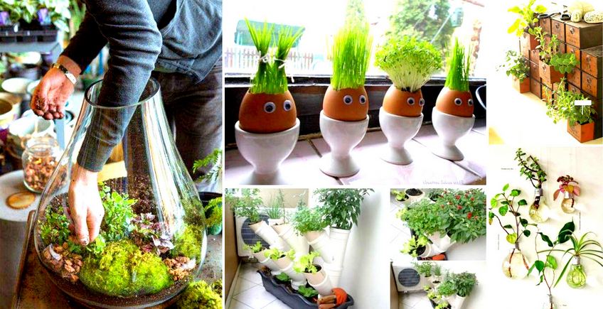 Cool Miniaturized Indoor Garden Tutorials