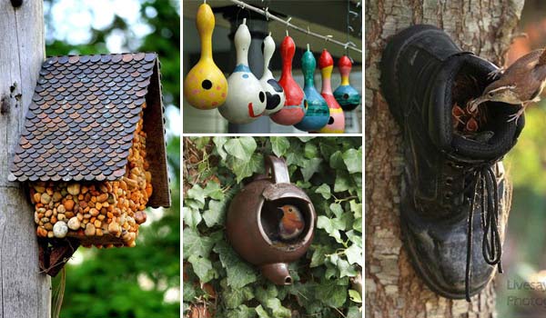 Amazing DIY Bird Houses