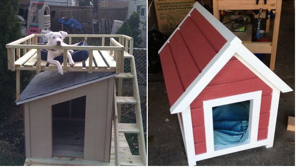 Cool DIY Dog House