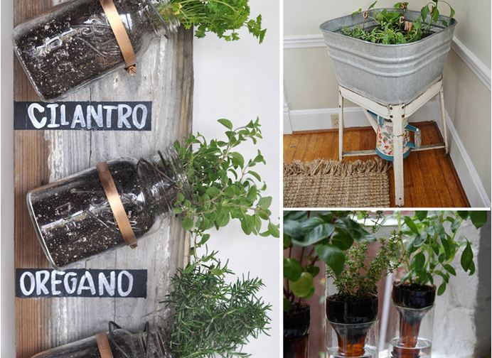 Amazing Ideas for Cheap or Free Herb Containers