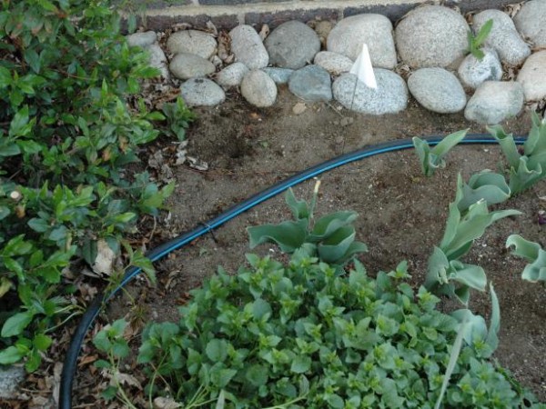 03-diy-drip-irrigation