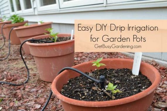 04-diy-drip-irrigation