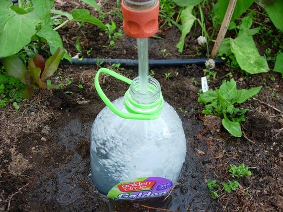 08-diy-drip-irrigation