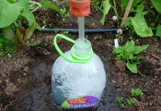 DIY Drip Irrigation