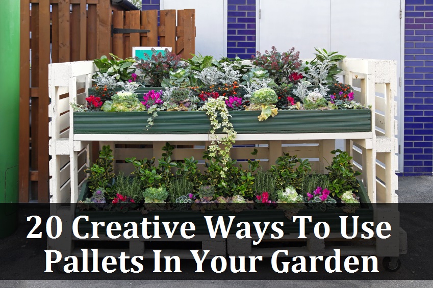 Awesome Ways To Use Pallets In Your Garden