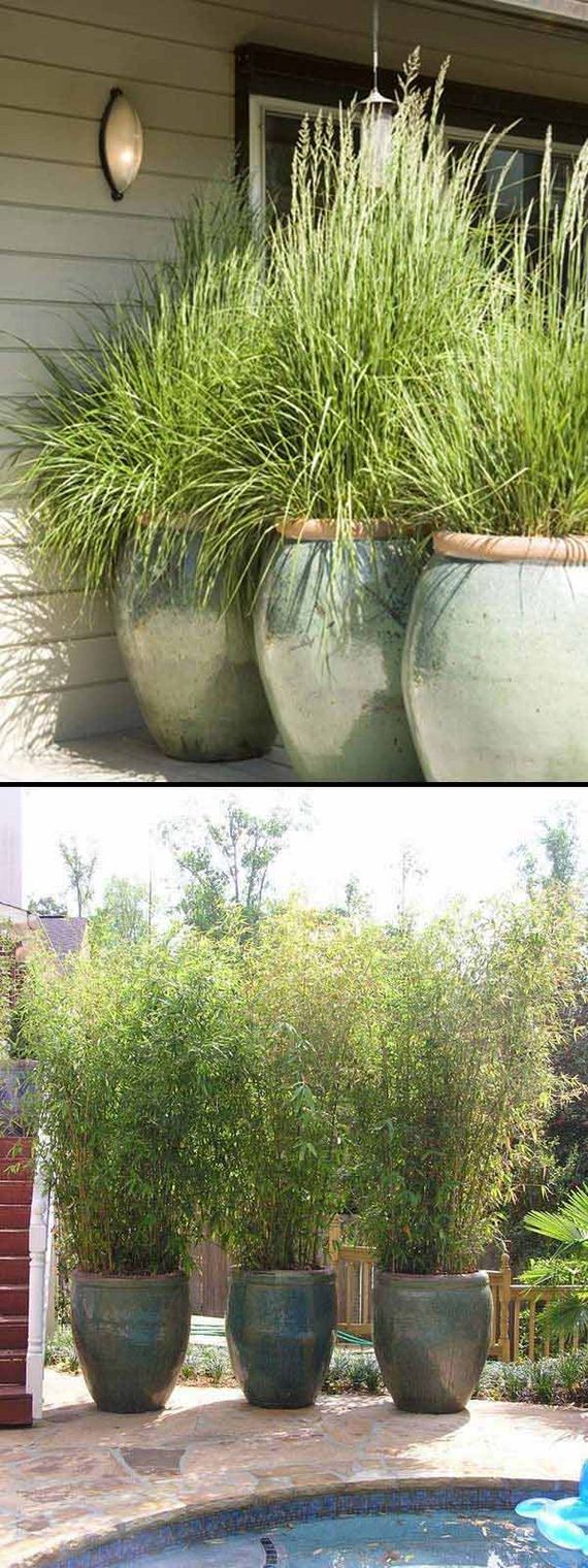 giant-pot-for-garden-yard-woohome-4