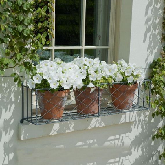 13-window-box-ideas