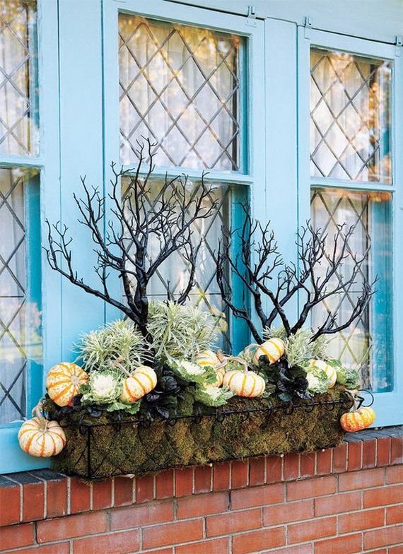 15-window-box-ideas