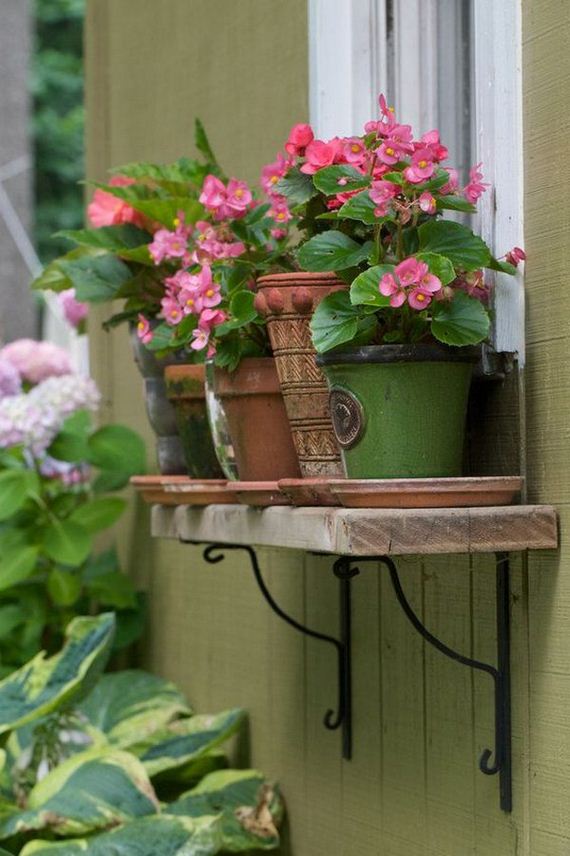 17-window-box-ideas