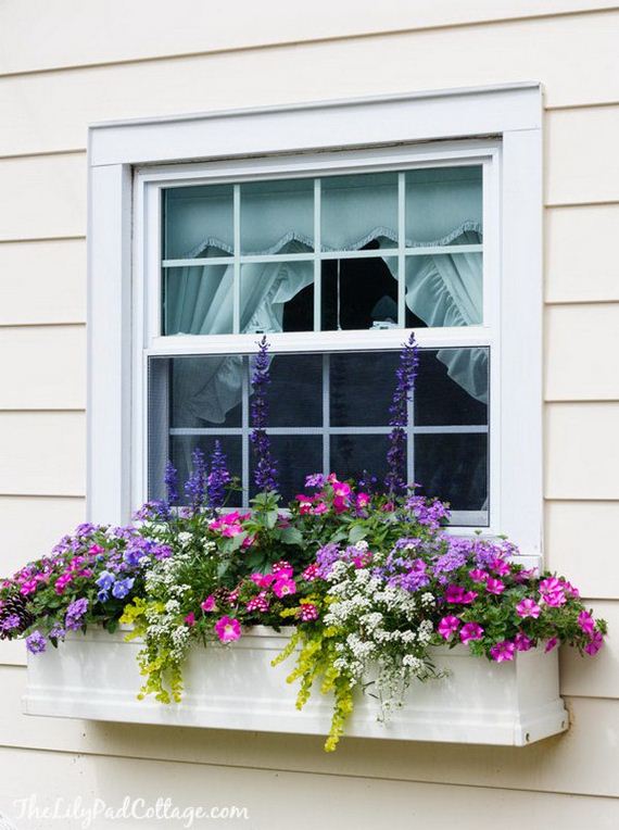 19-window-box-ideas