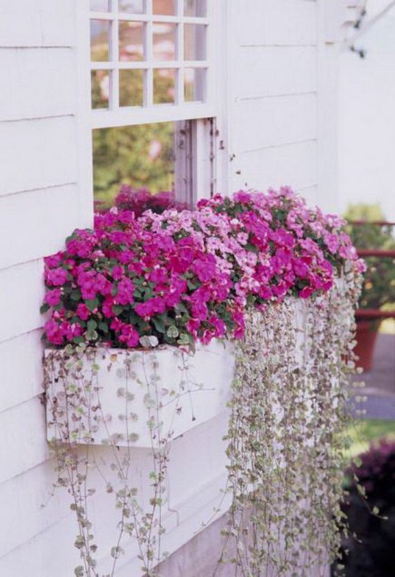 20-window-box-ideas