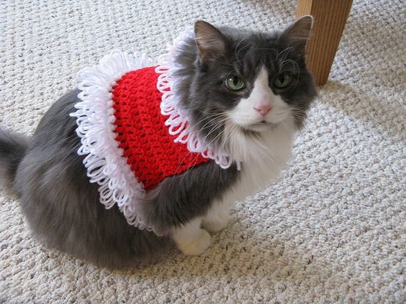 Cute and Warm Pet Crochet Patterns