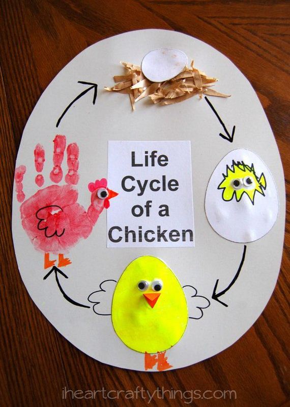 14-life-cycle-projects-kids