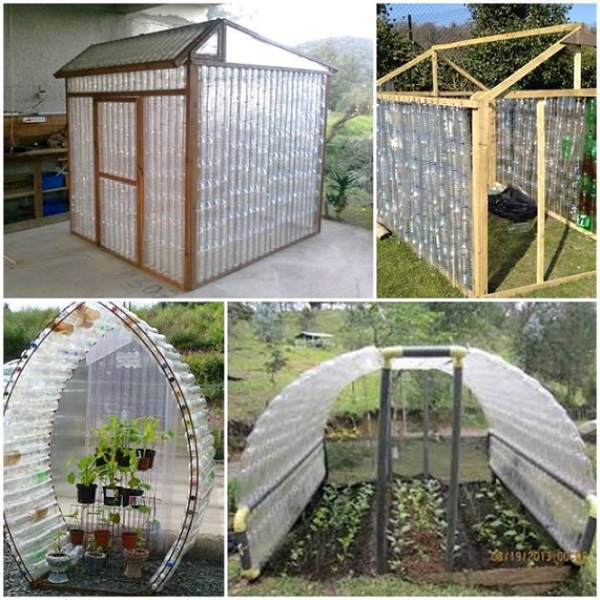 DIY Plastic Bottle Greenhouse