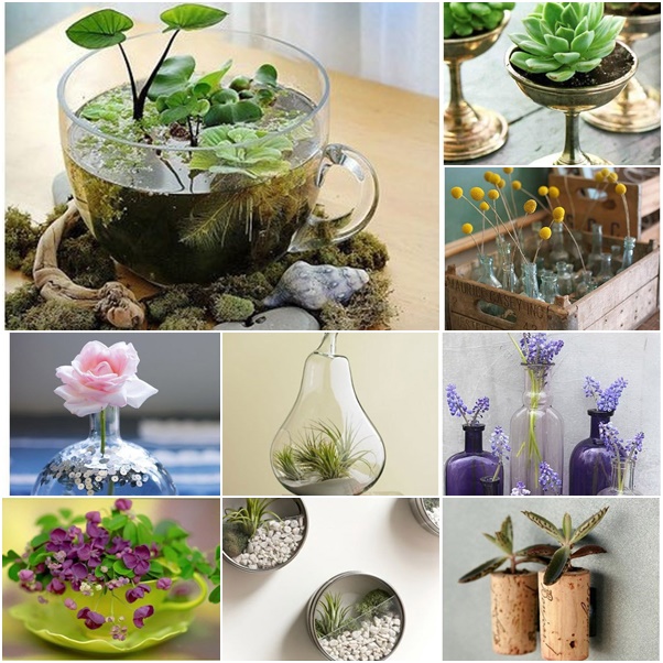 Amazing Ideas on Planter & Vase DIY