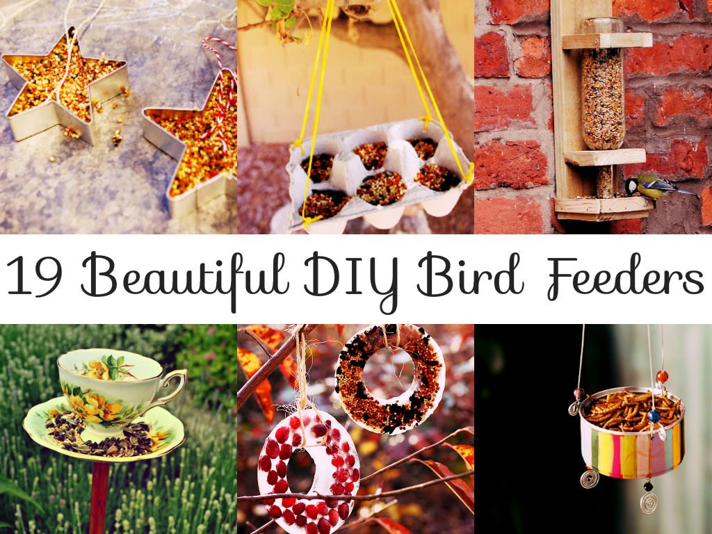 Beautiful DIY Bird Feeders