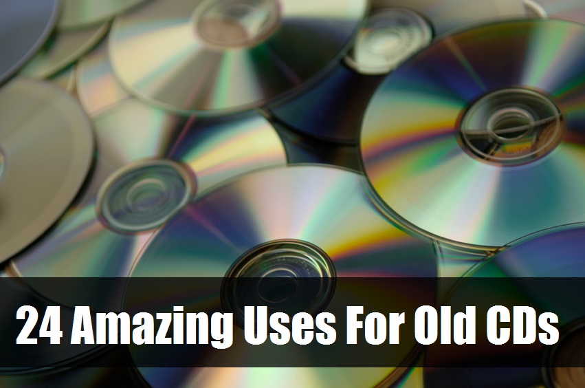 Amazing Uses For Old CDs