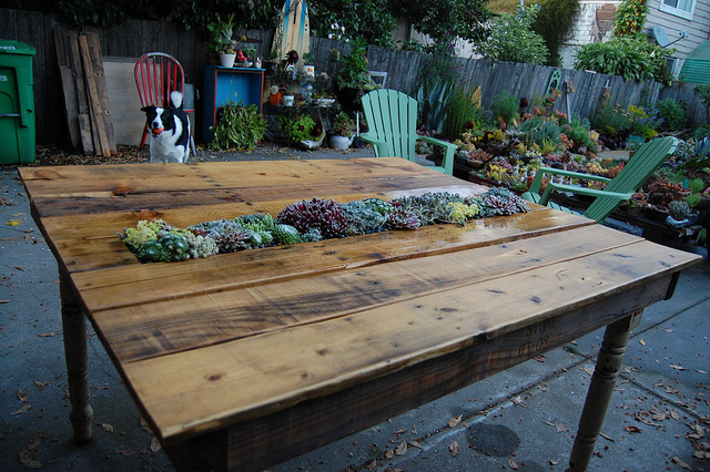 Cool Things To Do With Pallets In The Garden
