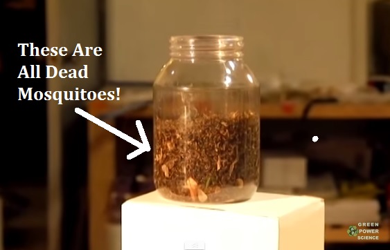 How To Make An Easy Mosquito Trap – Catch 1000s Of Mosquitoes Every Night