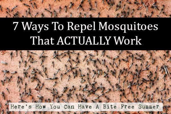 Ways To Repel Mosquitoes That ACTUALLY Work