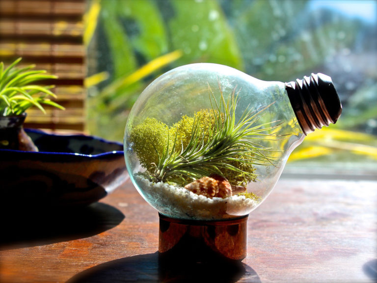 Amazing DIY Miniature Terrariums Made From Upcycled Things