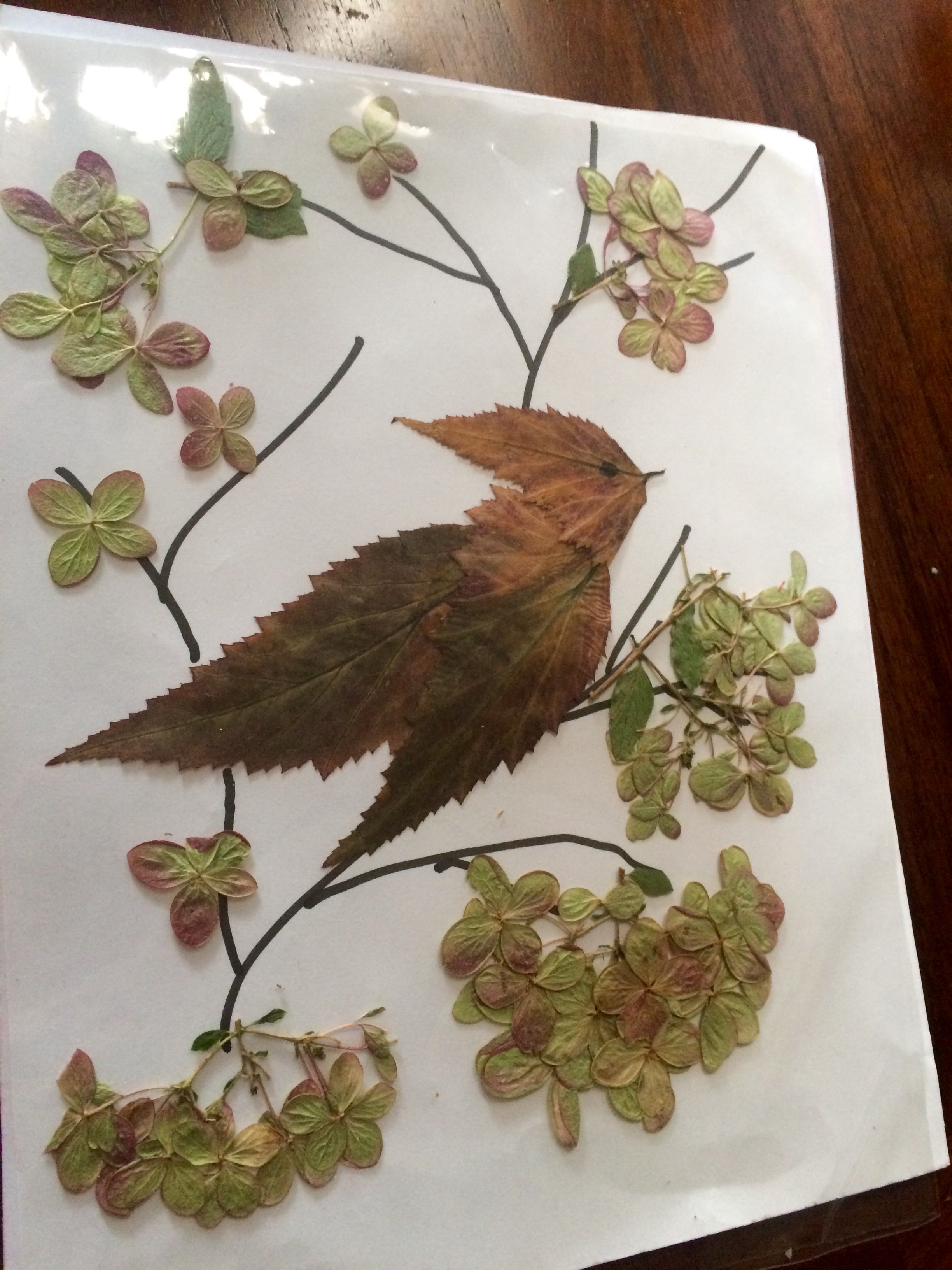 Amazing Dried Flower Crafts
