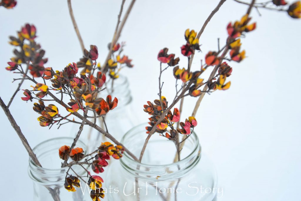 Amazing Dried Flower Crafts