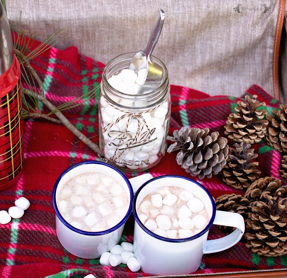 15 Hot Homemade Drinks For The Holidays