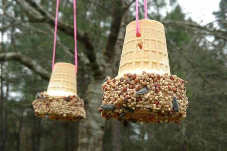 Unique DIY Bird Feeders