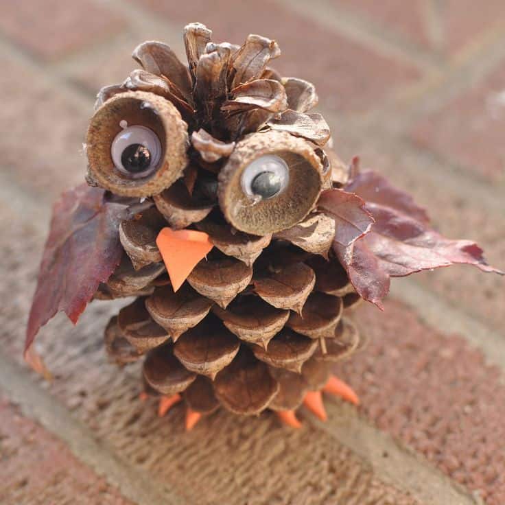 12 Amazing Crafts Made From Nature