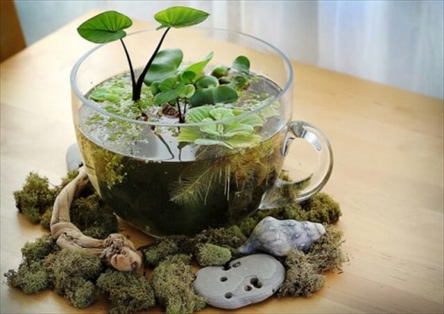 12 Amazing DIY Indoor Garden Ideas