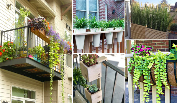 15 Amazing Railing Planter Ideas