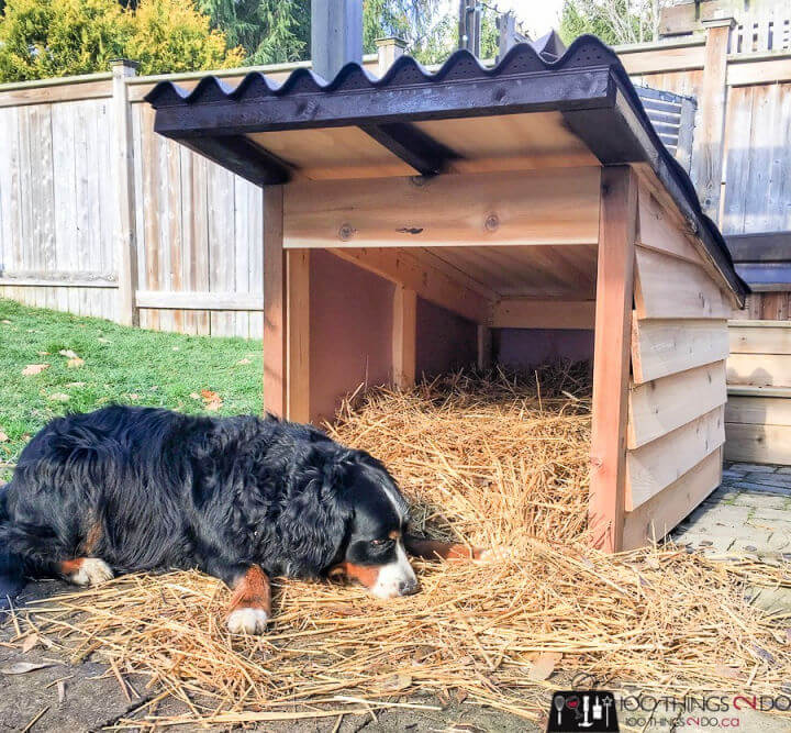 20+ Amazing DIY Dog House Plans