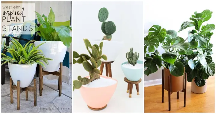 15 Amazing DIY Plant Stand Ideas