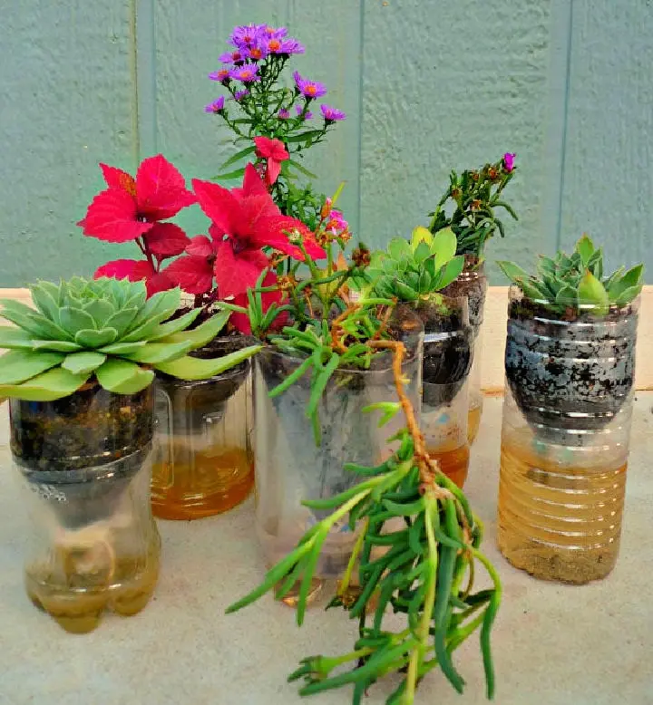 15 Awesome Empty Wine Bottle Planter Projects