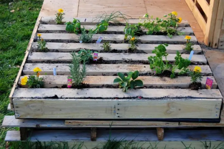 25 Awesome Pallet Garden Ideas