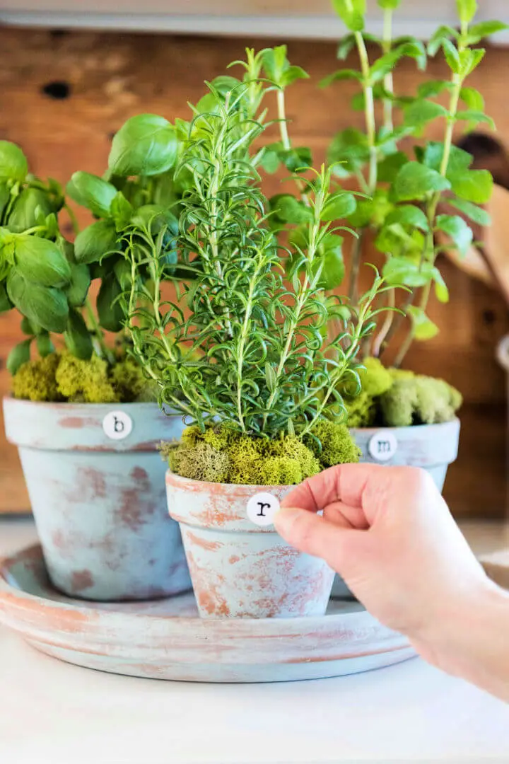 25+ Amazing DIY Herb Garden Ideas