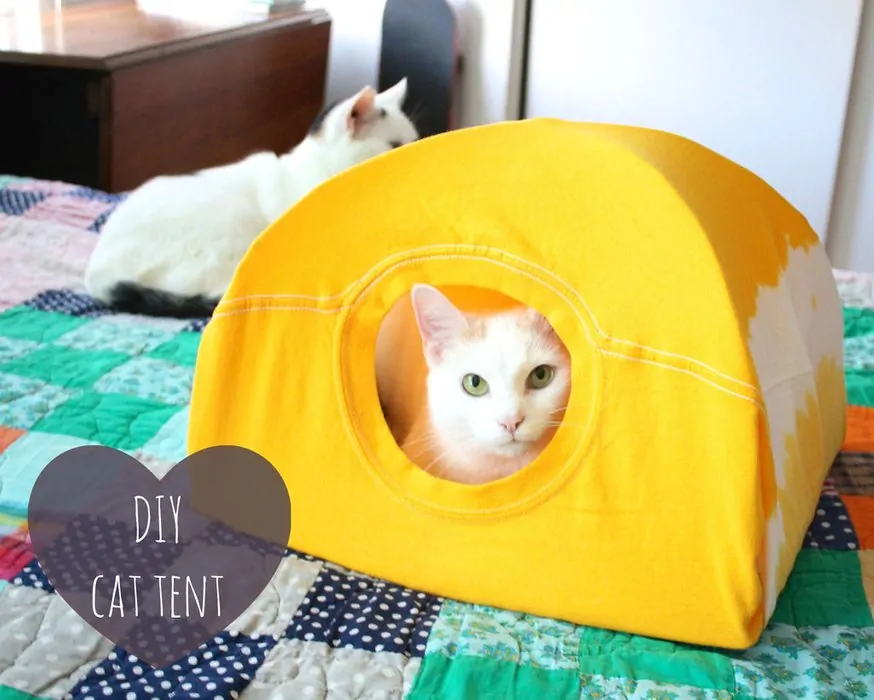 15 Amazing DIY Pet Bed Ideas