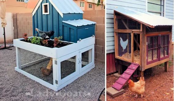 30+ Awesome Chicken Coop Projects