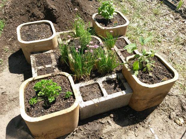 20+ Garden Box Ideas for Any Space, Including Above Ground Options