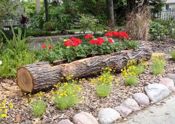 19 Creative Tree Log DIYs for Your Garden
